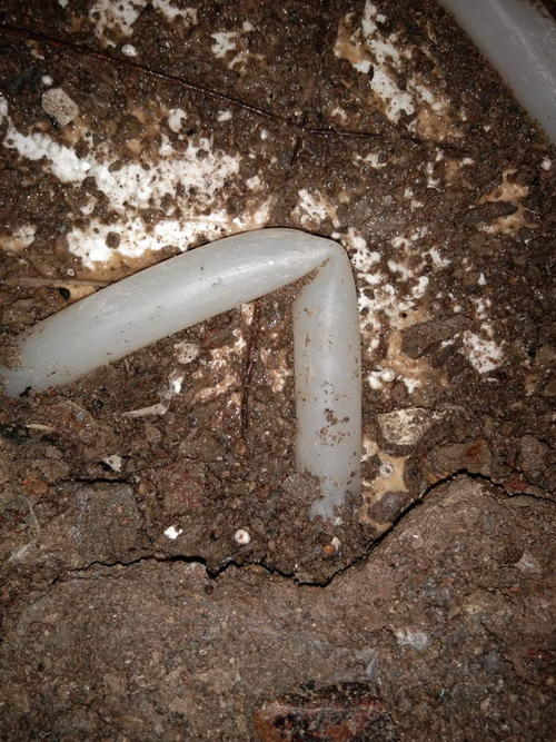 桦南堵点精准查找